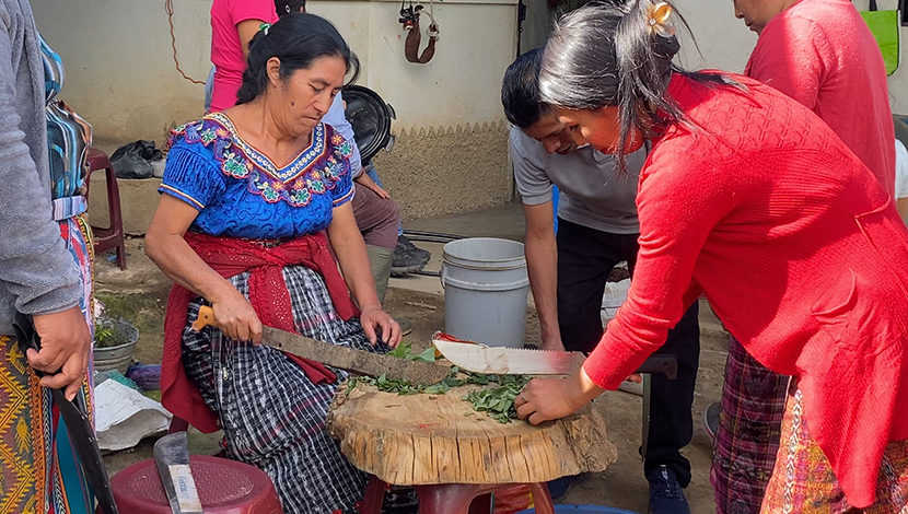 We provided training on the production and use of Super Magro*, a homemade biofertilizer