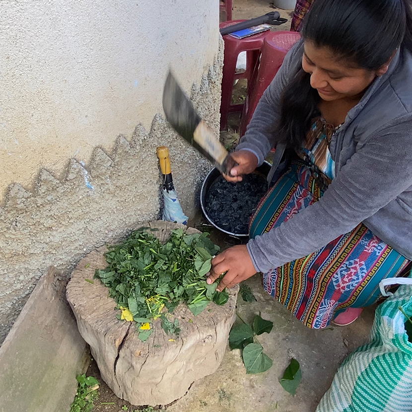 How fertilizer is used